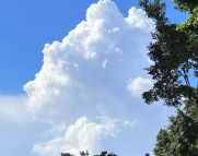 荆门天气预报,荆门7天天气预报,荆门15天天气预报,荆门天气查询